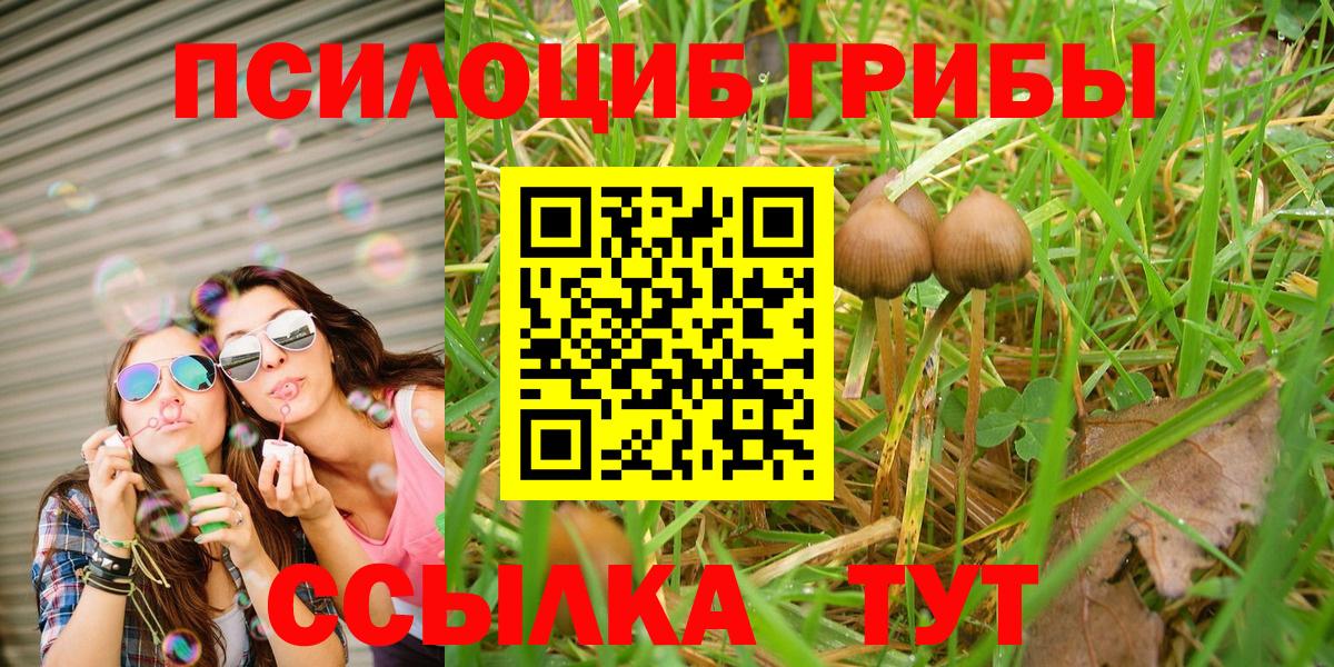 Псилоцибиновые грибы GOLDEN TEACHER Видное