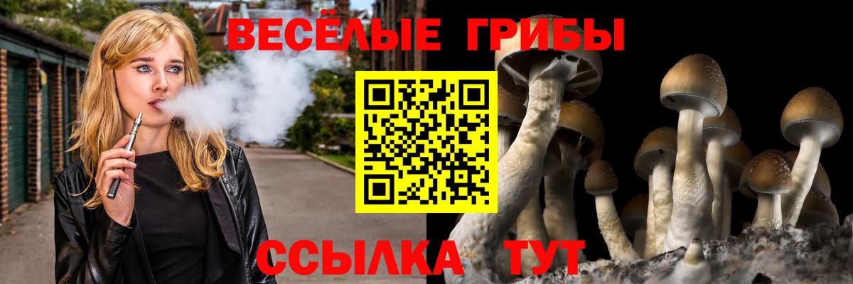 Псилоцибиновые грибы MAGIC MUSHROOMS  Вход с VPN  Видное 