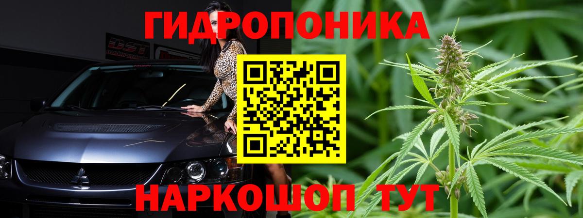 Видное  Бошки марихуана сатива  Бошки марихуана SATIVA & INDICA  Вход с VPN 
